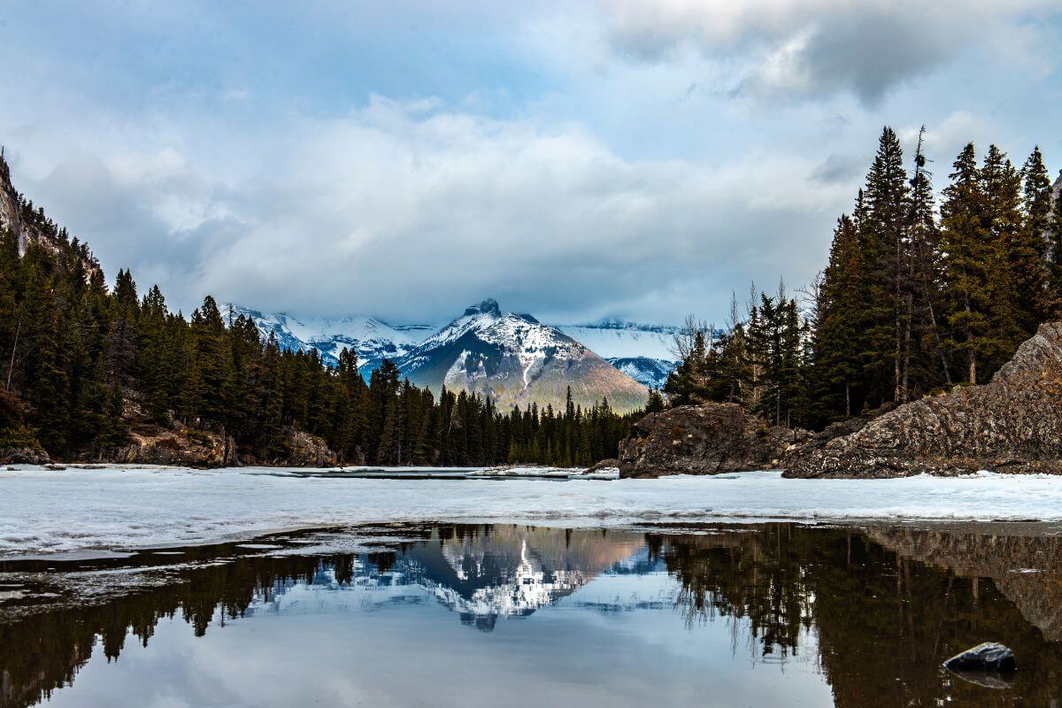 Benefits of remote visa in Canada