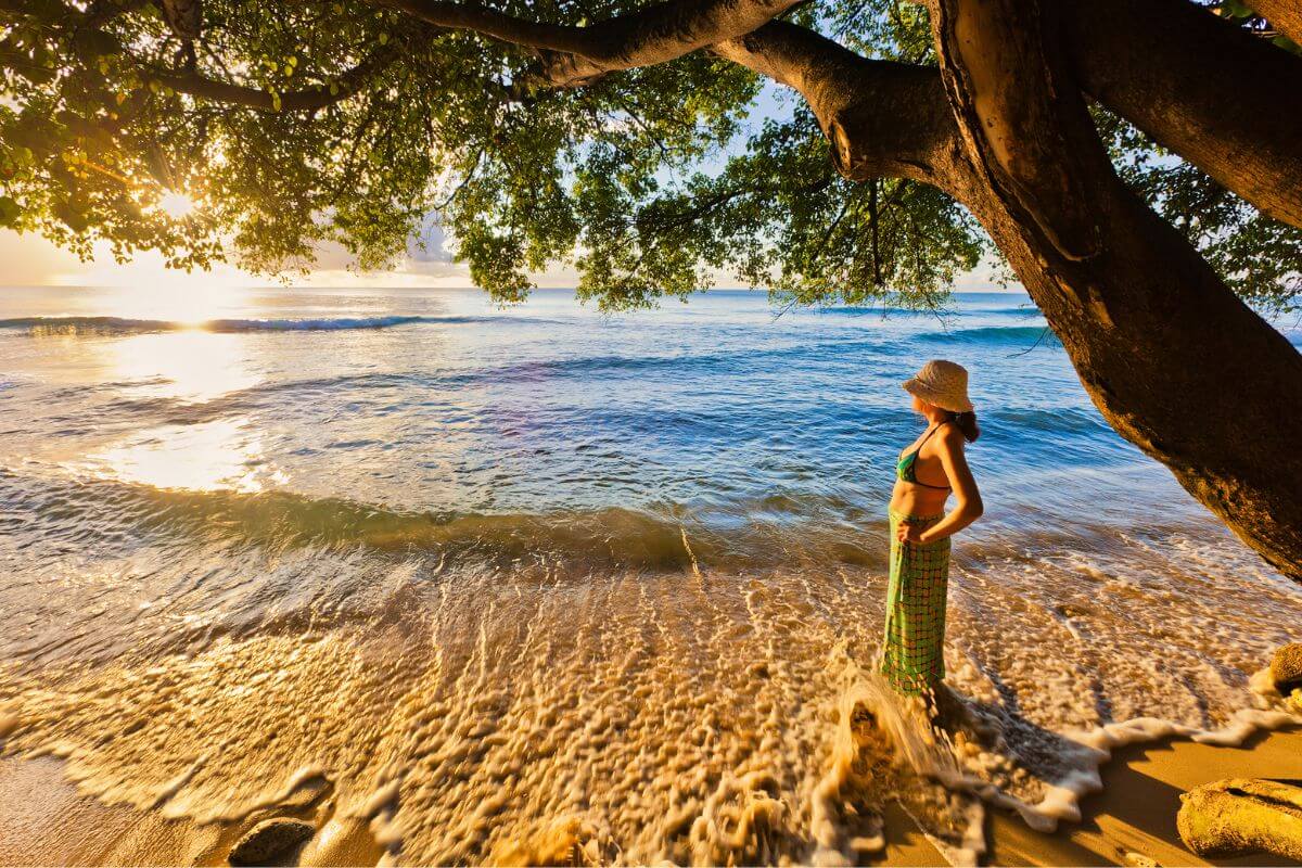 How To Choose the Perfect Country digital nomad