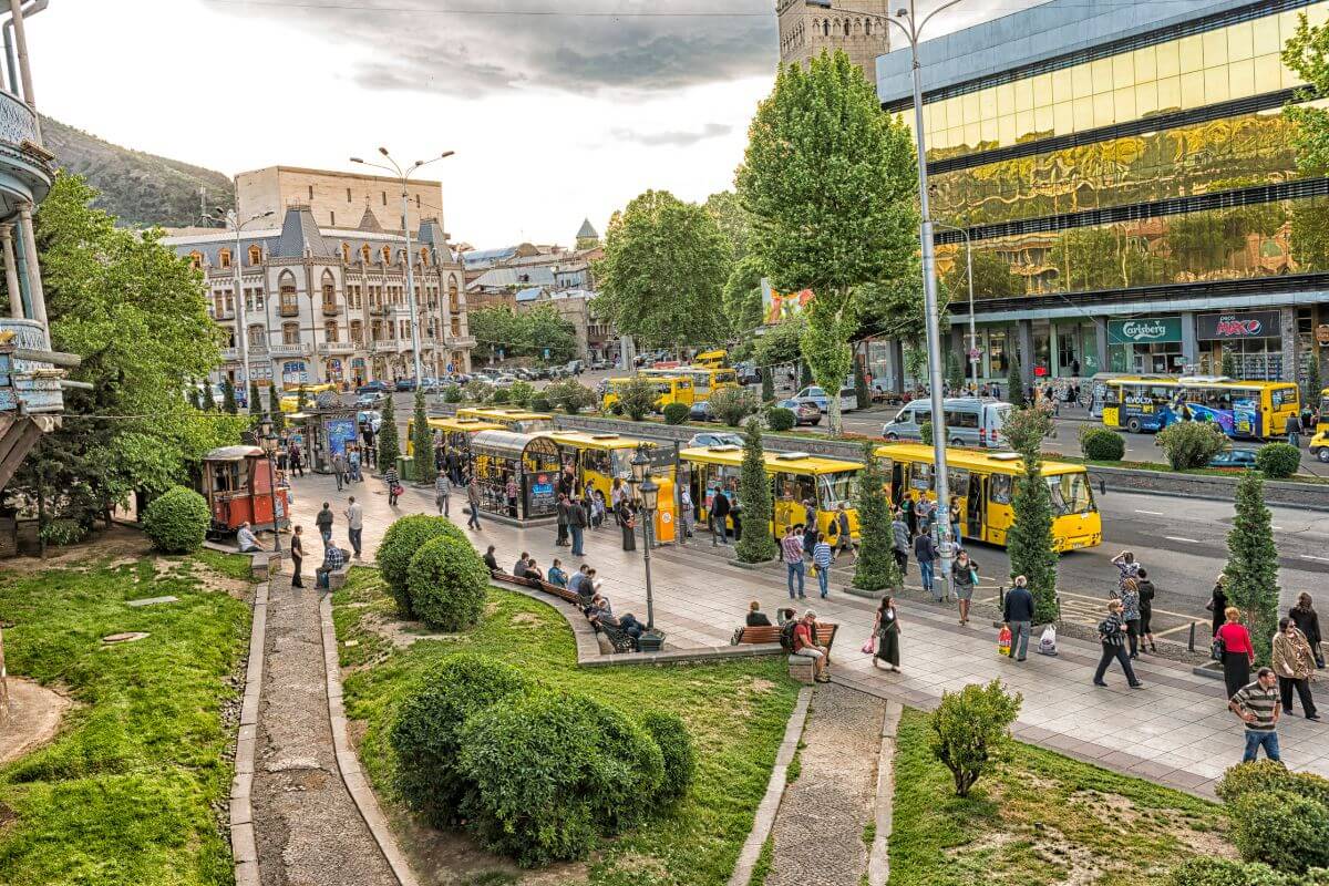 Georgia digital nomad visa facts